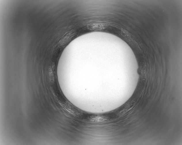 X0000051920460200507222139