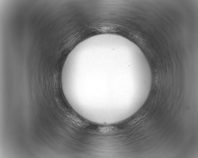 X0000051920461200507222139