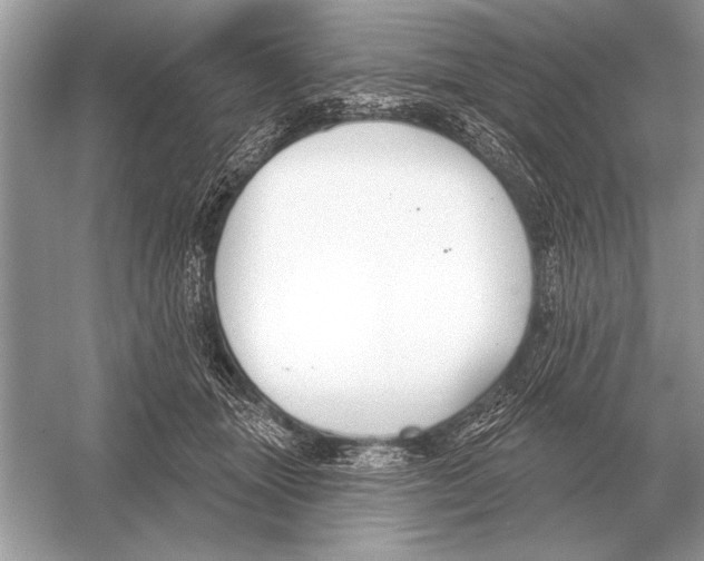 X0000051920463200507222139