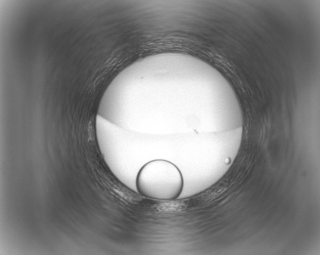 X0000051920465200507222139