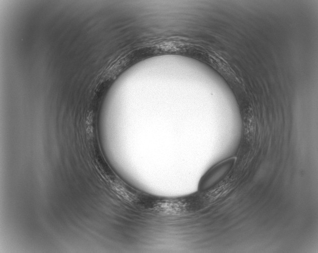 X0000051920466200507222139