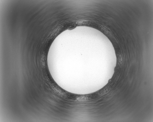 X0000051920470200507222139