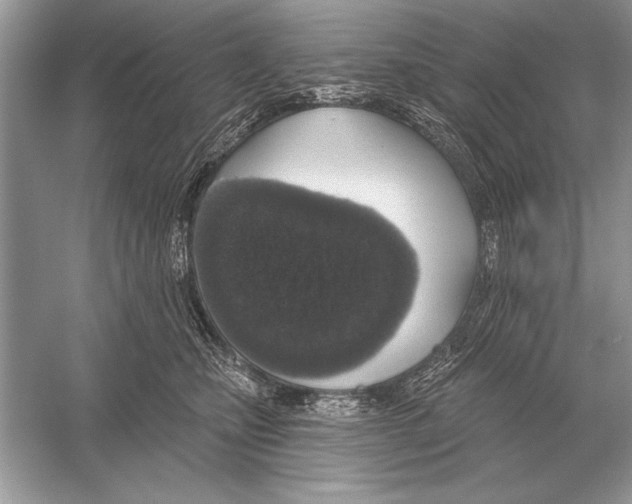 X0000051920471200507222139