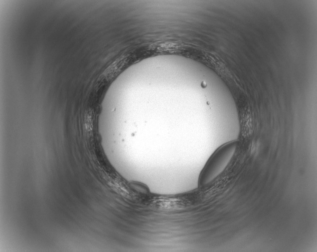 X0000051920472200507222139