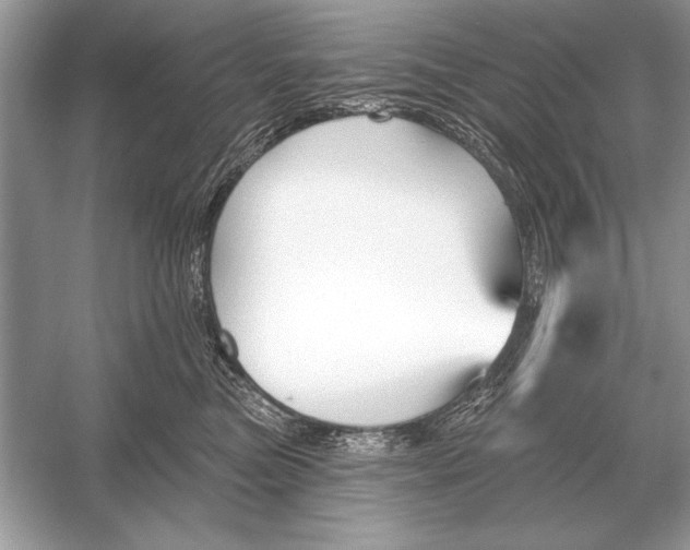 X0000051920473200507222139