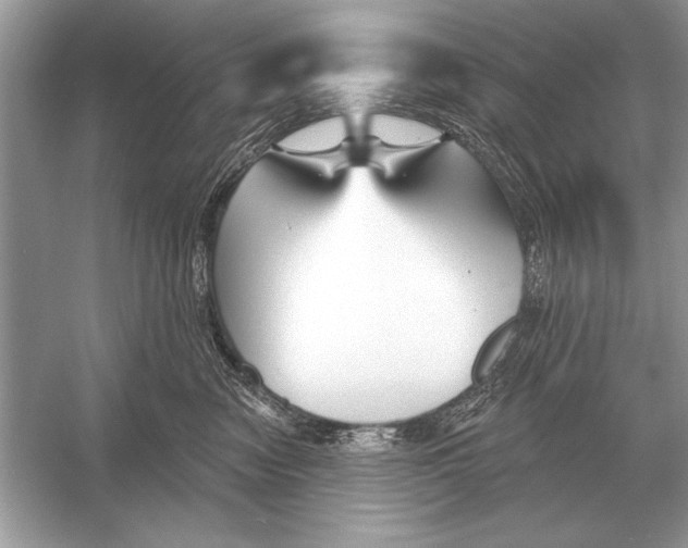 X0000051920474200507222139