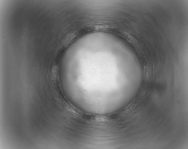 X0000051920475200507222139