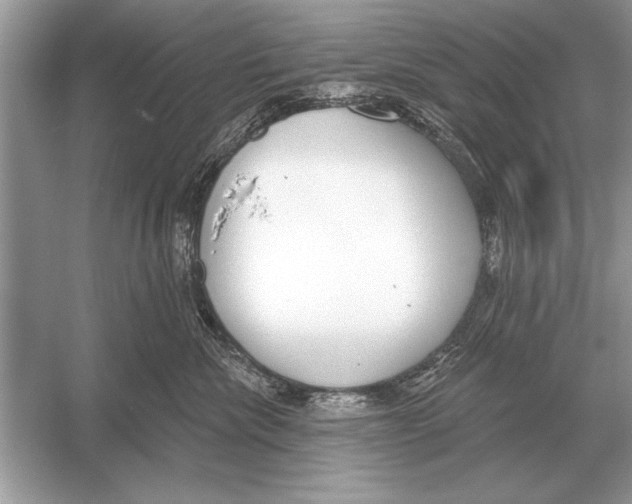 X0000051920476200507222139