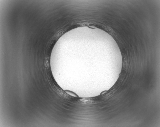 X0000051920477200507222139