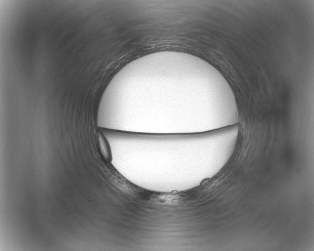 X0000051920478200507222139