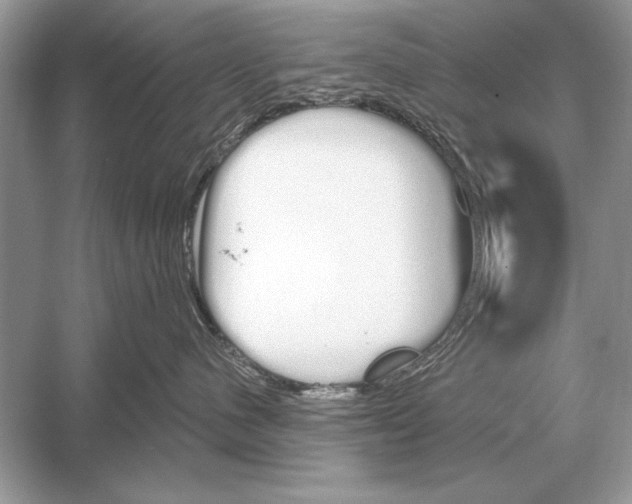 X0000051920480200507222139