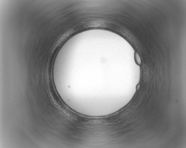 X0000051920482200507222138