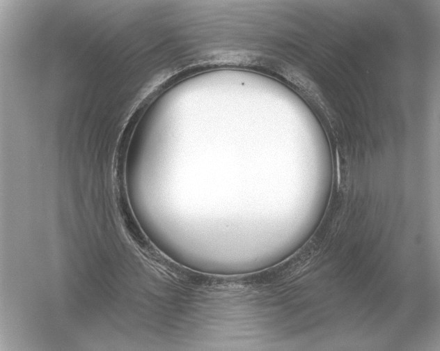 X0000051920483200507222138