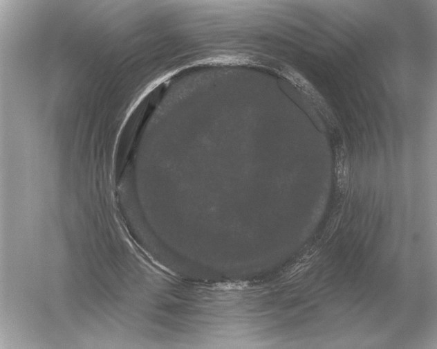 X0000051920484200507222138