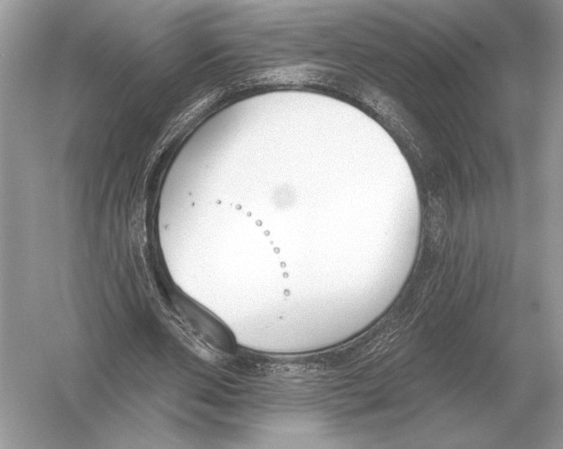 X0000051920486200507222138