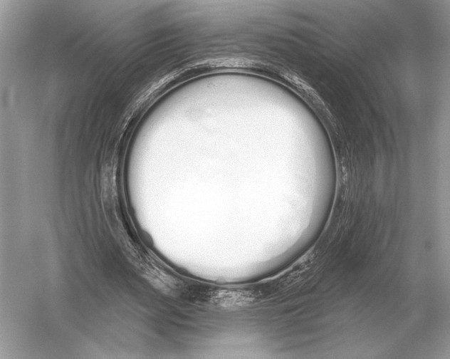 X0000051920487200507222138