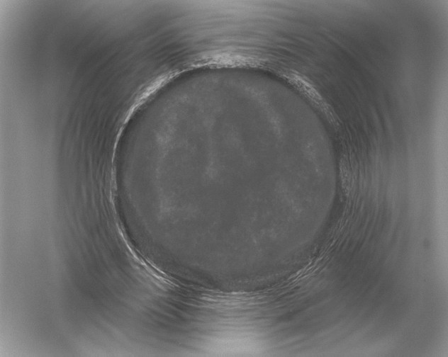 X0000051920488200507222138