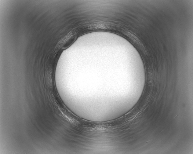 X0000051920489200507222138