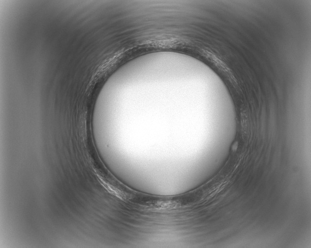 X0000051920493200507222138