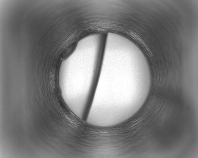 X0000051920497200507222138