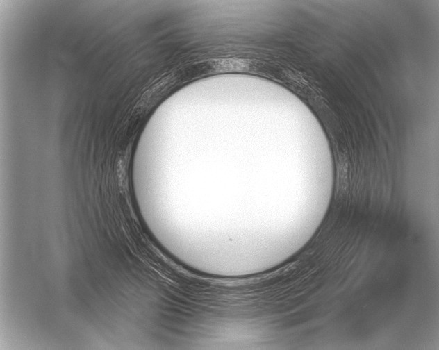 X0000051920498200507222138