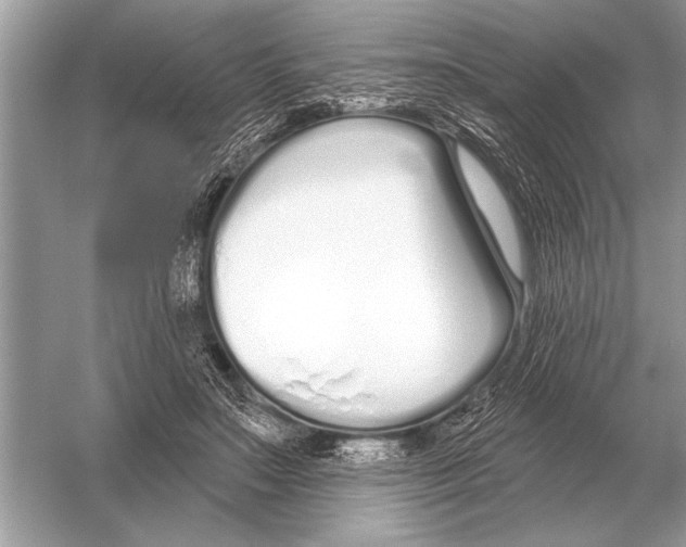 X0000051920499200507222138