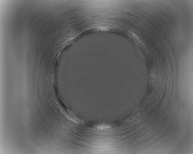 X0000051920500200507222138