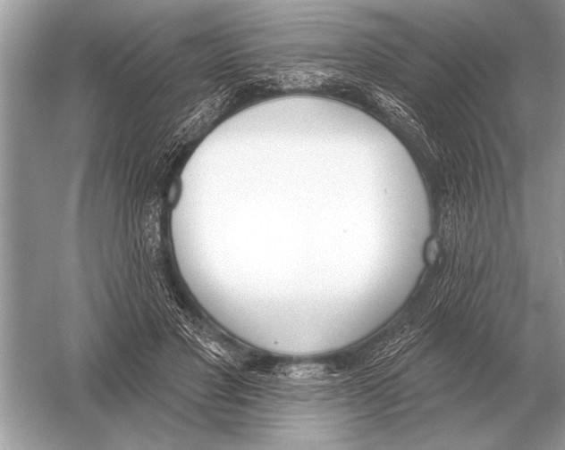 X0000051920501200507222138