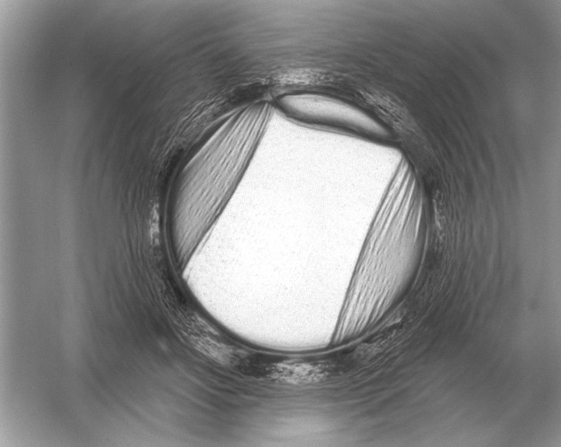 X0000051920502200507222138