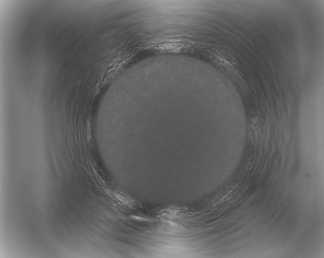 X0000051920504200507222138