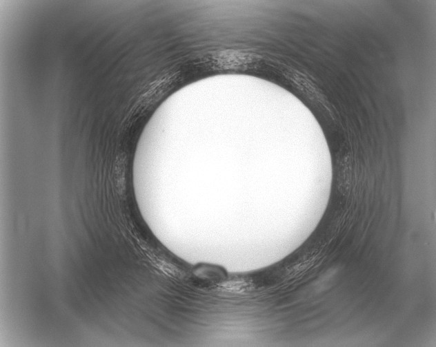 X0000051920505200507222138