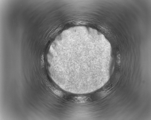 X0000051920506200507222138