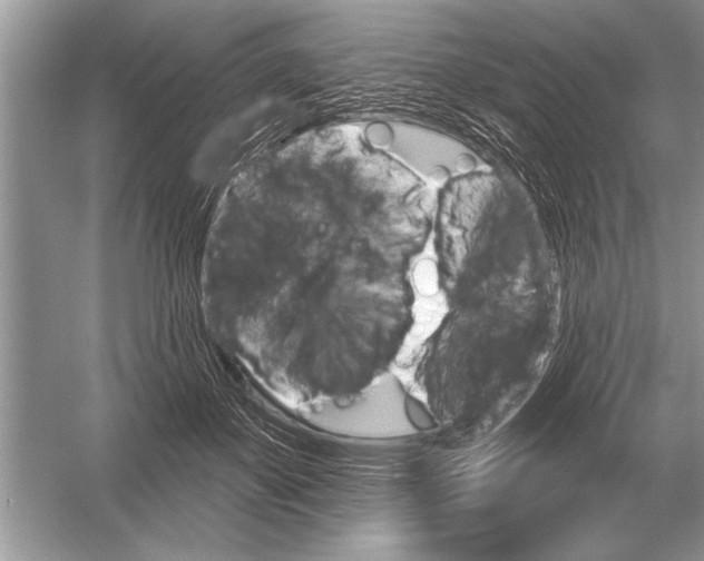 X0000051920507200507222138