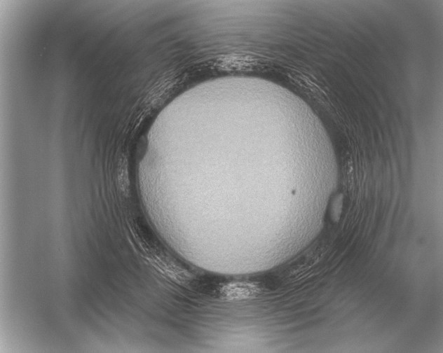 X0000051920508200507222138