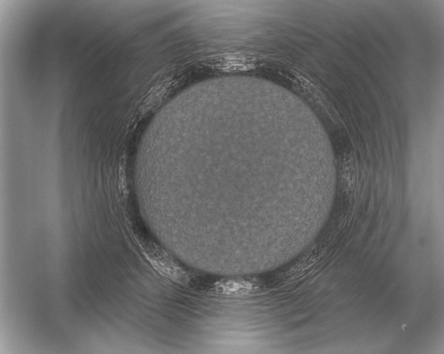 X0000051920512200507222138