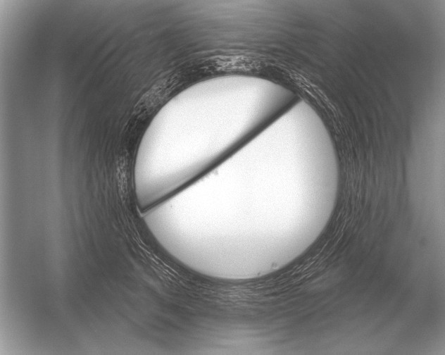 X0000051920513200507222138