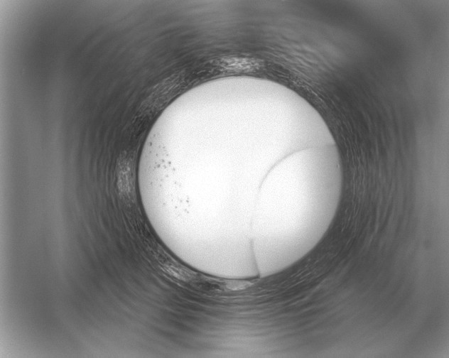 X0000051920514200507222138