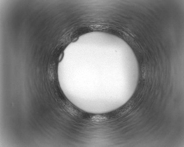 X0000051920515200507222138