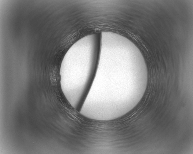 X0000051920517200507222138