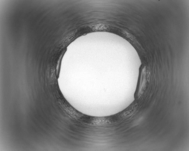 X0000051920521200507222138