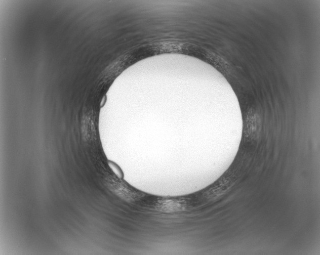 X0000051920522200507222138