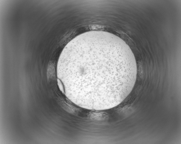 X0000051920523200507222138