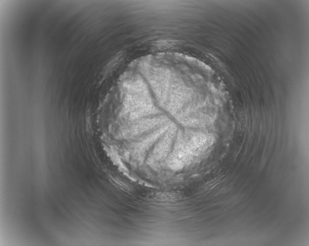 X0000051920524200507222138