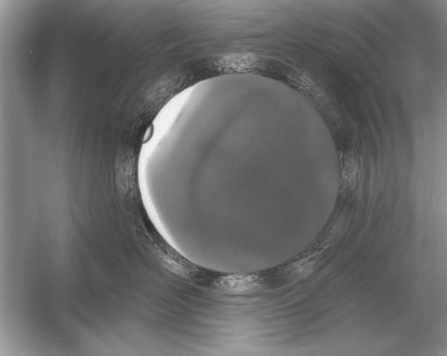 X0000051920526200507222138