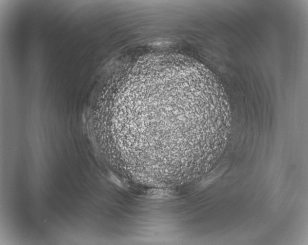 X0000051920528200507222138