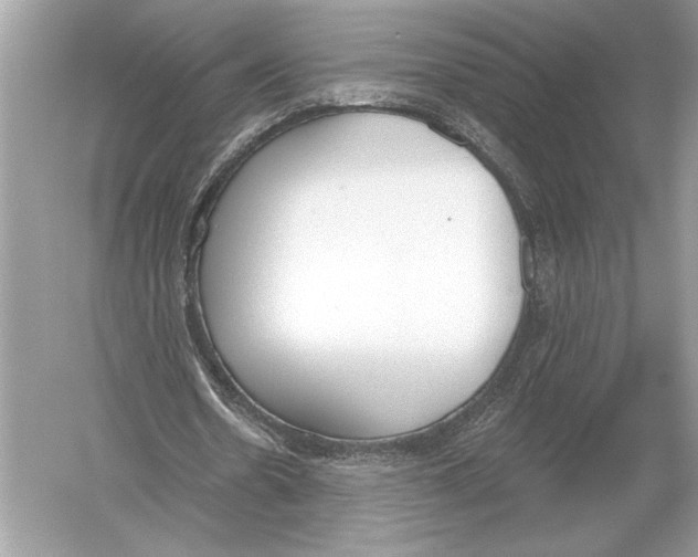 X0000051920530200507222137