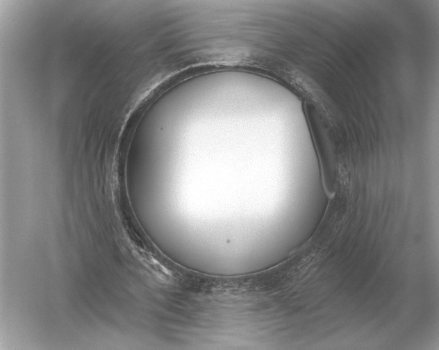 X0000051920532200507222137