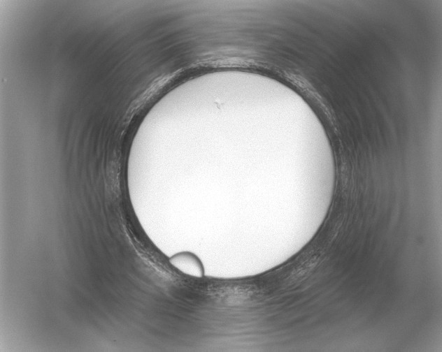 X0000051920533200507222137