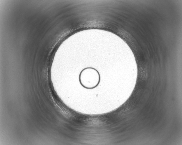 X0000051920534200507222137