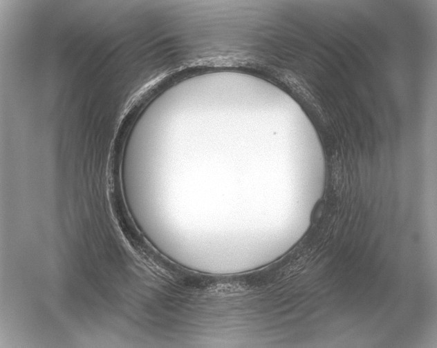 X0000051920536200507222137